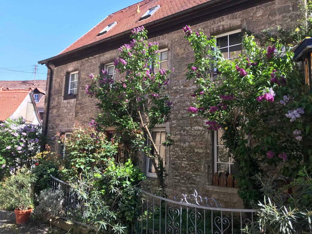 Ferienwohnung Am Weinberg Randersacker Dış mekan fotoğraf